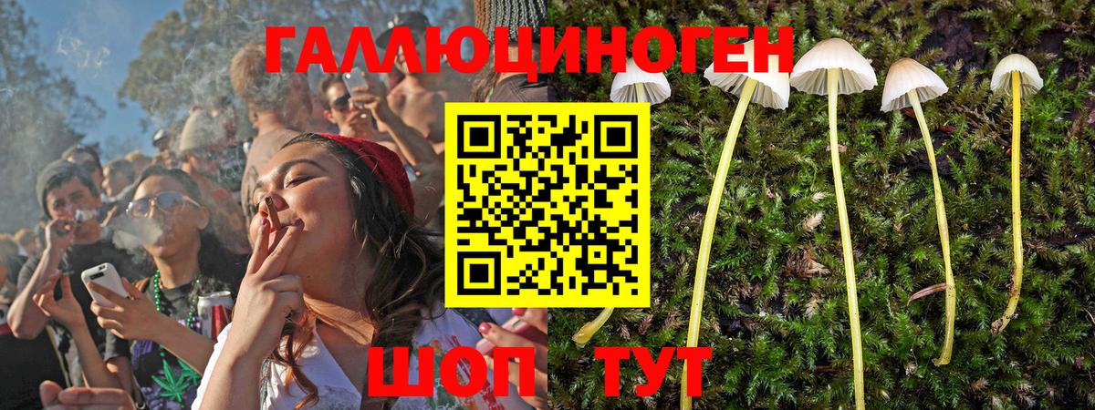 Галлюциногенные грибы Magic Shrooms Карабулак
