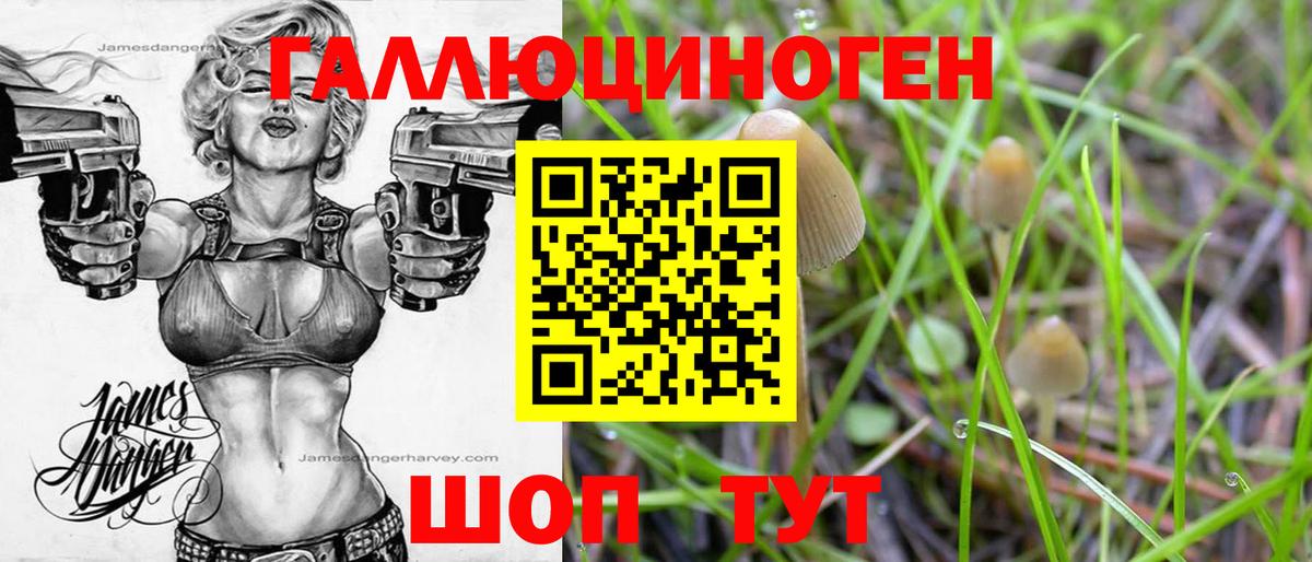 Галлюциногенные грибы Psilocybine cubensis  Вход с VPN  Карабулак 