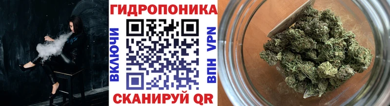 Конопля семена  где продают наркотики  Карабулак 